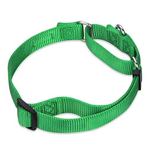Martingale Collar for Dogs Small Green (Small / Lime Green)