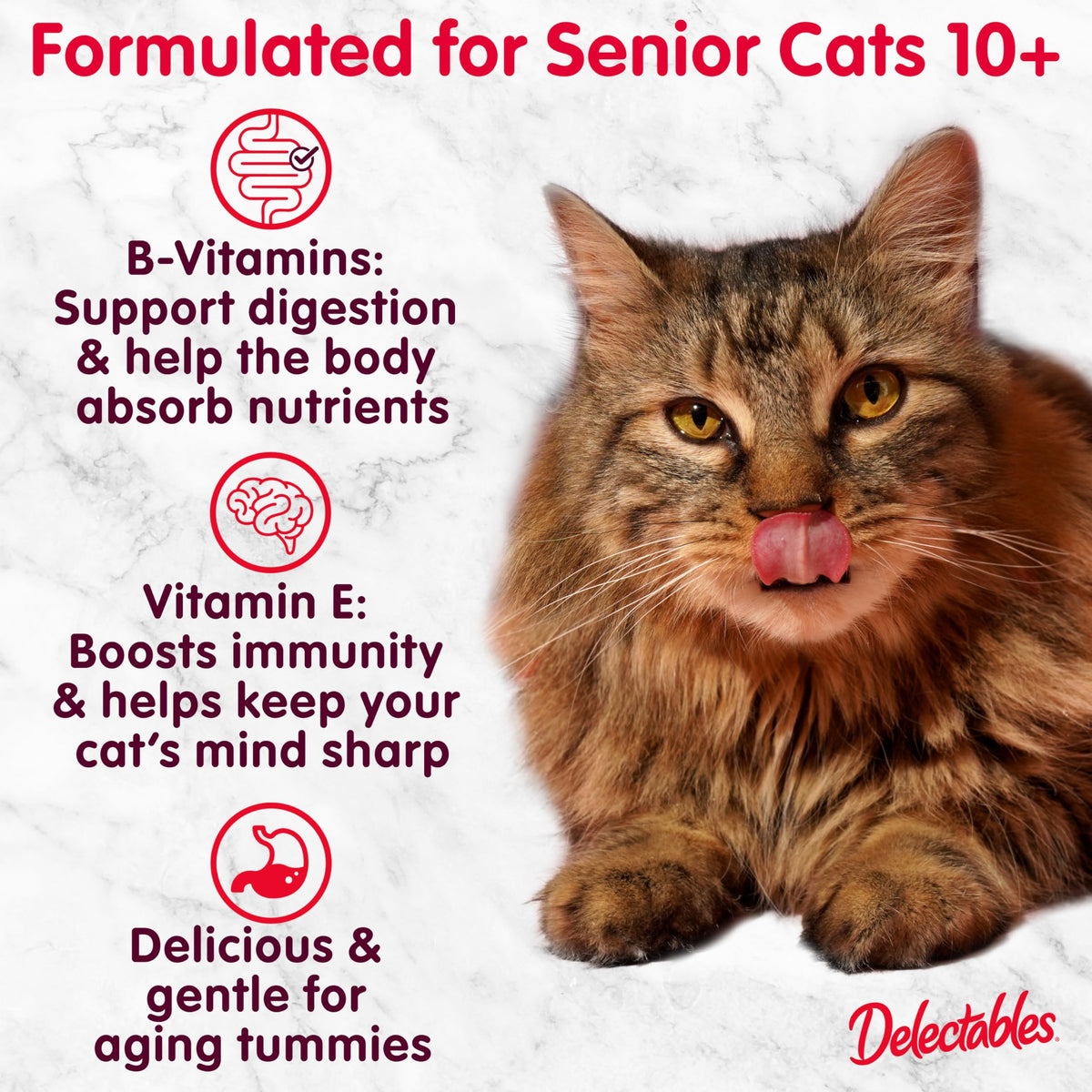 Lickable Treat Bisque Senior 10+ Wet Cat Treat Variety Pack (1.4 Ounce (Pack of 12))