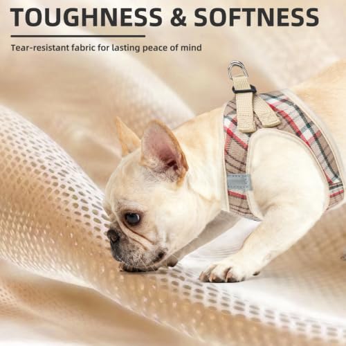 Dog Harness Collar and Leash Set No Pull for Small Medium Sized (Khaki / XL (CHEST 20"-22"))