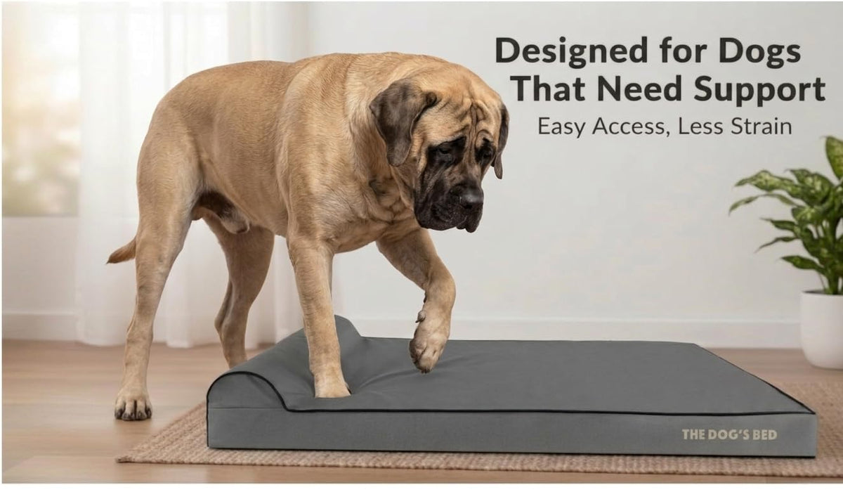 The Dog’s Bed Orthopedic Memory Foam Dog Bed with Headrest XXL 4 (Grey with Black Trim / XXL (54"L x 36"W x 4"Th))