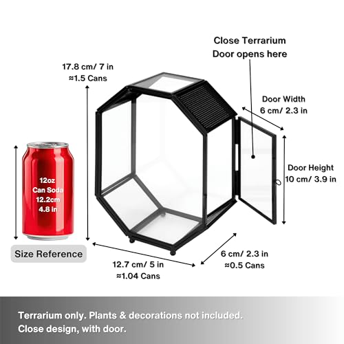 Mini Vented Glass Terrarium with Vent and Door for Jumping Spiders (5 x 2.3 x 7 inches)
