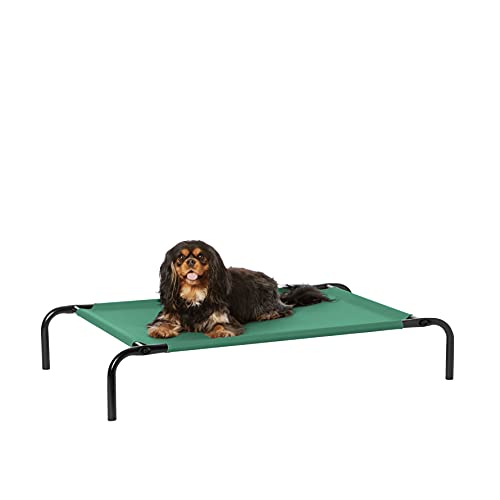 Cooling Breathable Elevated Dog Bed with Metal Frame for Small Dogs (Green / Small)