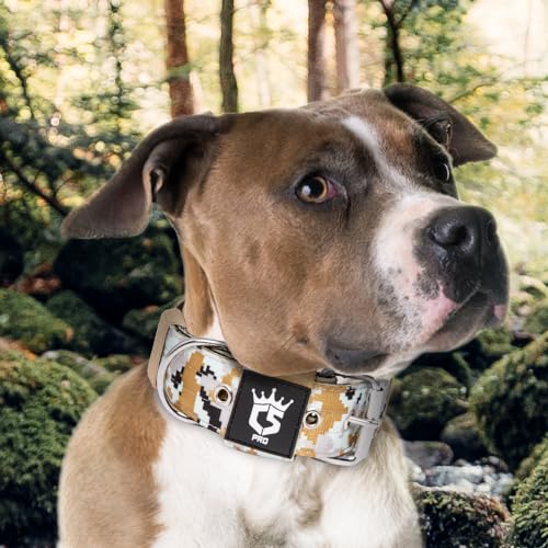 Heavy Duty Thick Dog Collar with Metal Buckle for Large Dogs (L – Fits Neck 18.9"-21.7" / Camo Khaki)