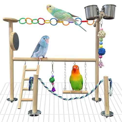 Small Bird Playground Natural Wood for Top of Cage Bird Perch Stand for Parrots Play Gym Toys for Small Birds Parrot Cockatiel Love Birds Budgie