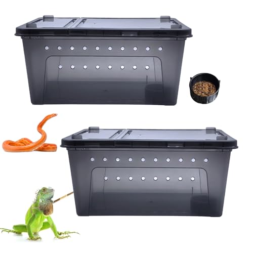 Reptile Enclosure Terrarium 2