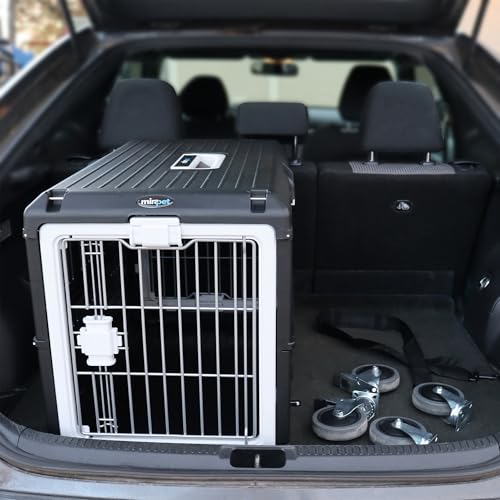Collapsible Pet Carrier & Travel Kit (Large - Gray / with travel kit)