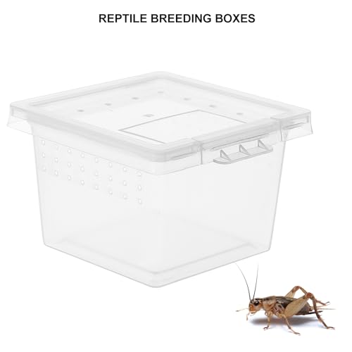 Transparent Reptile Breeding Box Mini Feeding Cage Tank with Lid 2.67X2.16X1.77 Inch Compact Lightweight Habitat for Spider Scorpion Gecko Snake