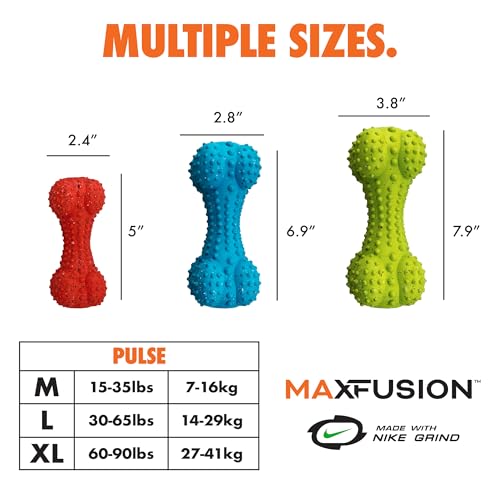Arlee Rubber Bone Dog Toy for All Dogs