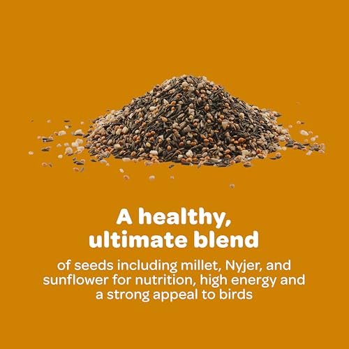 Ultimate Wild Finch Blend Wild Bird Food (10 Pound (Pack of 1))