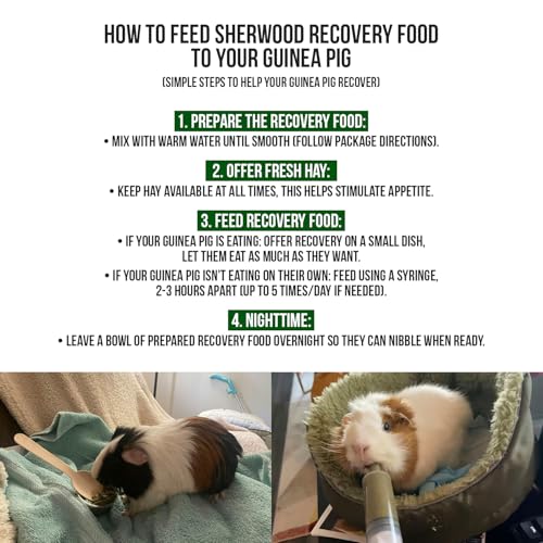 Guinea Pig Emergency Kit (6.34 Ounce (Pack of 1))