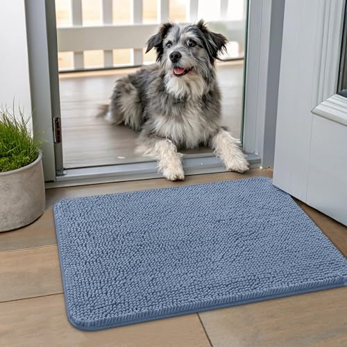Dog Door Mat for Muddy Paws 24x16 (Airy Blue / 24"X16")
