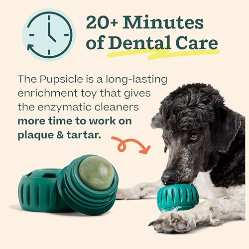 Dental Kit Includes Pupsicle Dog Toy