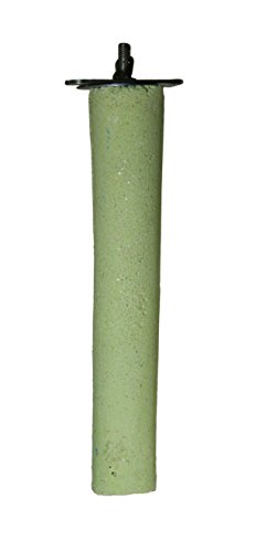 Pacific Perch Beach Walk X (XL)