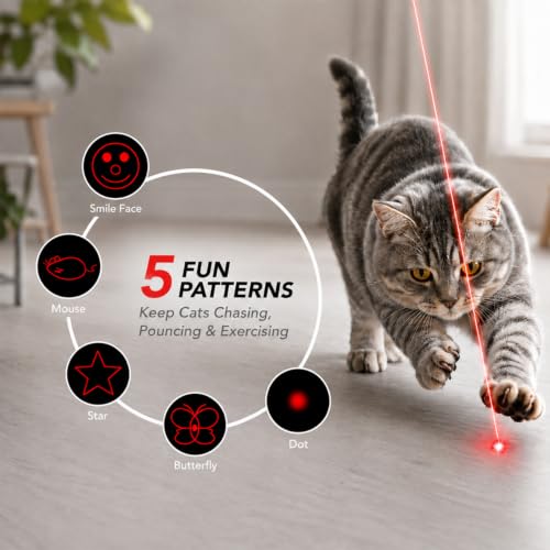 Interactive Cat Toy with Class 1 Laser Pointer