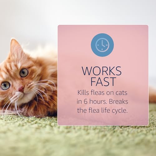 Flea and Tick Prevention for Cats (6-Month Supply)