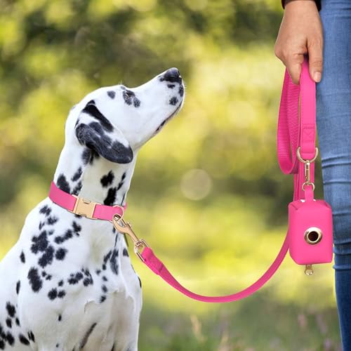 Soft PU Leather Dog Collar (M: Fit 13-19" Neck(20-55 lbs) / Hot Pink)
