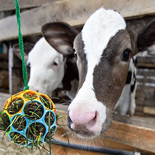 2 Pack Horse Treat Ball Hay Feeder Toy (Colorful)