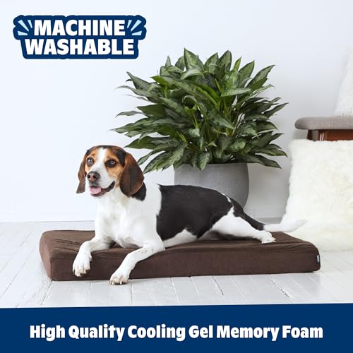 Orthopedic Dog Bed (Espresso / Large)