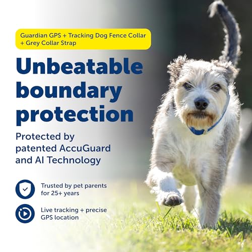 Guardian GPS + Tracking Dog Fence Collar Bundle with Additional (Guardian GPS Fence Collar + Grey Strap)