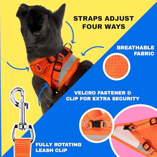 Travel Cat Harness and Leash Set (Medium / Orange)
