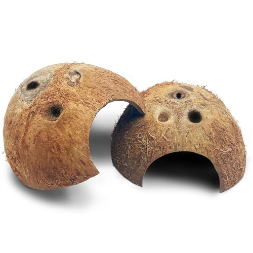 Natural Coconut Reptile Hideouts Lizard (Natural Surface / 2 PCS)
