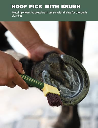 Horse Grooming Kit (Pasture Glow)