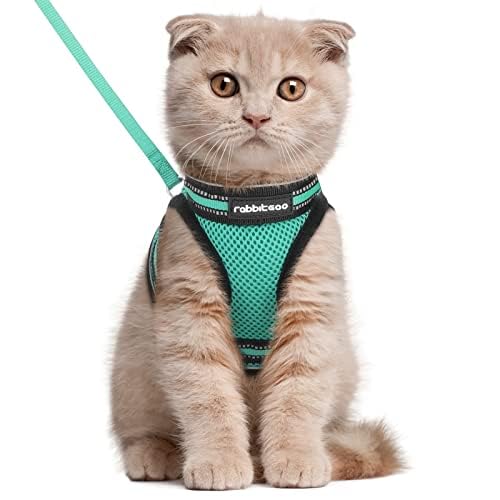 Cat Harness and Leash Set (L / Green)