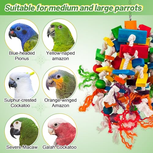 Large Parrot Toy (Elliptical)