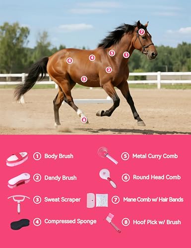 Horse Grooming Kit (Pink Garnet)