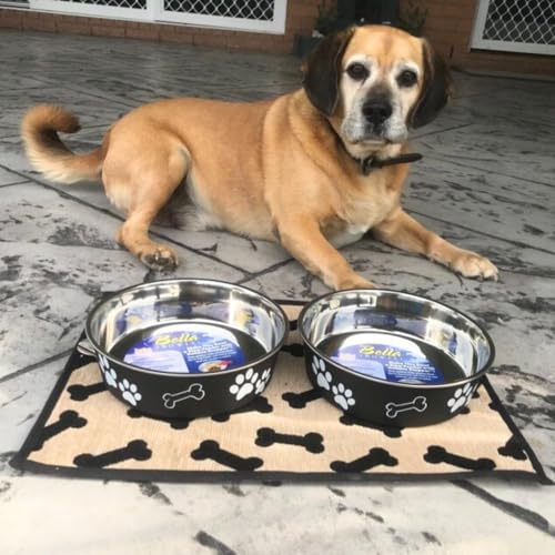 Bella Dog Bowls (Espresso / Small (10-20lbs))