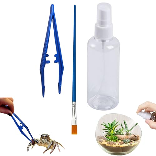 Jumping Spider Enclosure Starter Kit (S / Blue)