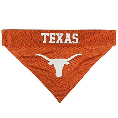 Collegiate Pet Accessories (XX-Large / Texas Longhorns)