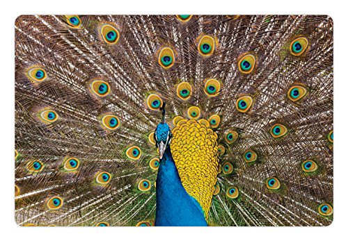 Peacock Pet Mat for Food and Water (Mustard Brown)