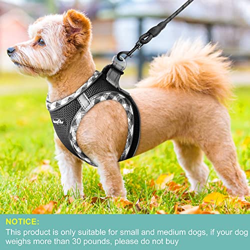 Dog Harness with Leash Set (S / Black)