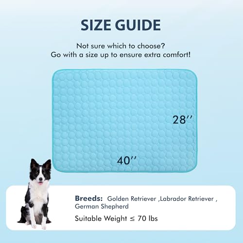 Summer Cooling Mat & Sleeping Pad (40" x 28" / Blue)