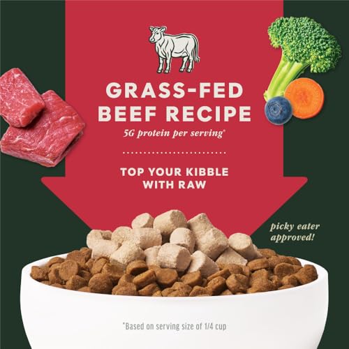 Raw Boost Mixers Freeze Dried Dog Food Toppers For Dry Food (14 Ounce (Pack of 1))