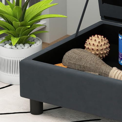 Luxury Fancy Dog Couch with Hidden Storage (Dark Gray)