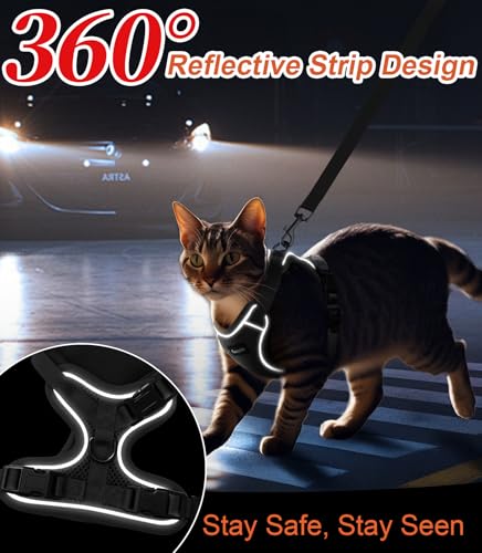 Cat Harness and Leash for Walking Escape Proof Soft Adjustable Cat Leash (Grey / XS (4-6lb))