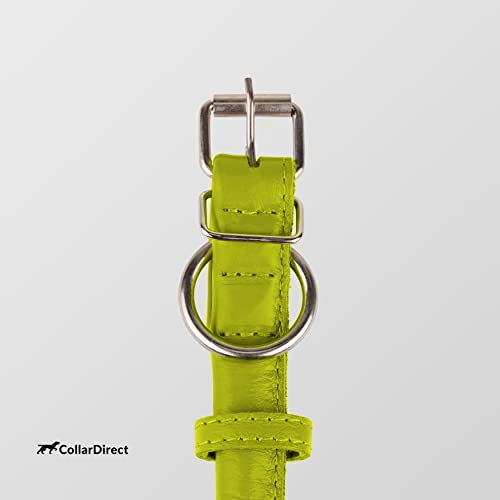 Tangle Free Rolled Leather Dog Collar (Lime Green / XL)