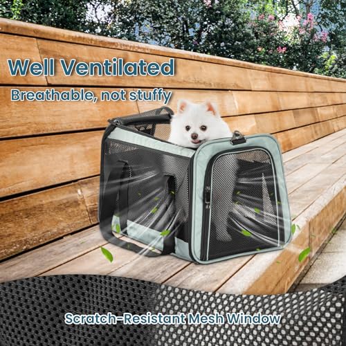 19 x 12 x 12 Large Cat Car Carrier (19.0"L x 12.0"W x 12.0"H / Z-Cyan blue)