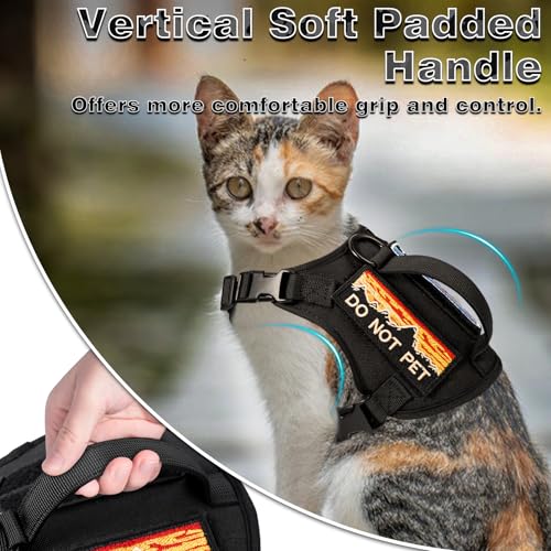 Tactical Cat Harness and Leash Set for Walking (L / black)
