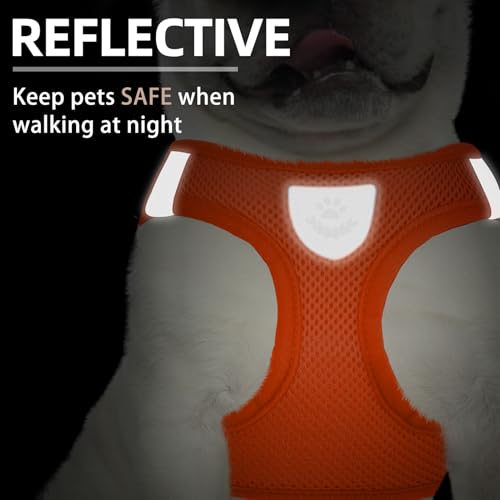 Dog Harness Collar and Leash Set No Pull for Small Medium Sized (Solid Orange / M (CHEST 16"-18"))