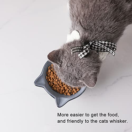 Elevated Cat Bowls (4.5 OZ / Gray)