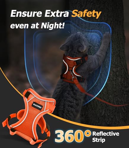 Cat Harness and Leash Set (H600 Pro Orange / X-Small (4-6lb))
