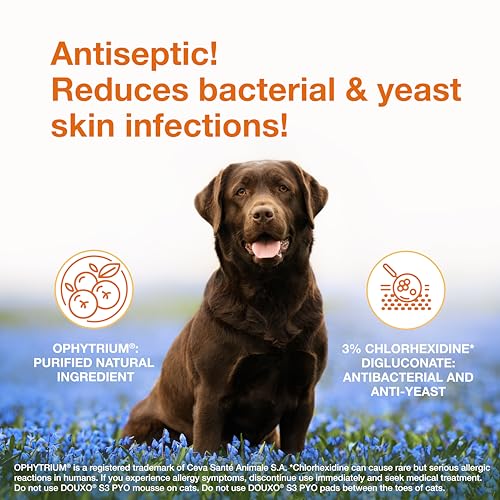S3 PYO Pads 3% Chlorhexidine Wipes for Dogs and Cats