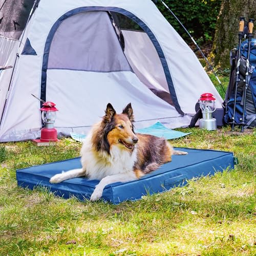 Cooling Dog Bed (Jumbo / Blue)