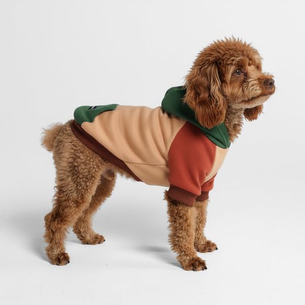 Dog Hoodie Buttery (Ranger / Small)