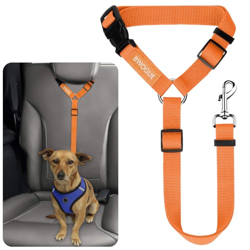 Dog Seat Belt for Car (Orange)