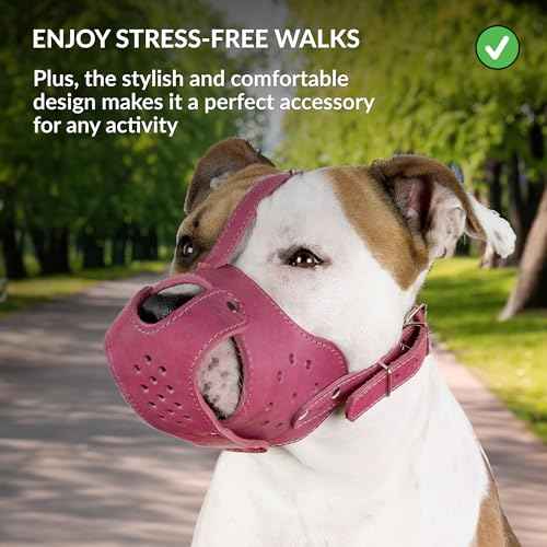 Leather Basket Muzzle for Pitbull & Amstaff (Pink Basket)