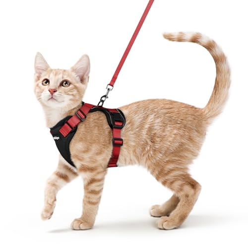 Cat Harness and Leash Set (Xs / Black & Red)